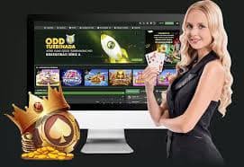 Live dealer table interface showing chat window and game feed
